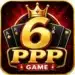 6PPP